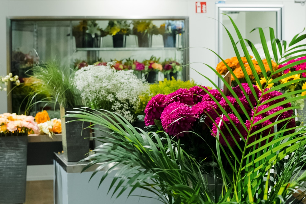 Auswahl an Blumen und fertigen Blumensträußen im Kaufpark Dresden bei Blumen Kornberger
