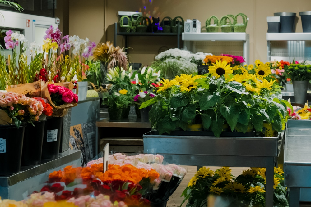 Auswahl an Blumen und fertigen Blumensträußen im Kaufpark Dresden bei Blumen Kornberger